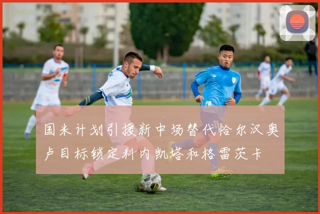 国米计划引援新中场替代恰尔汉奥卢目标锁定科内凯塔和格雷茨卡