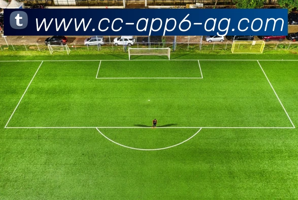 App 展示图
